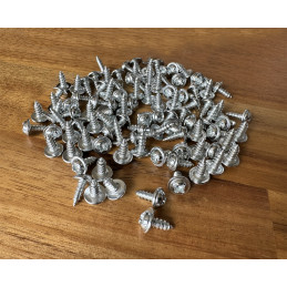 Set of 100 small screws (3.0x8 mm, silver color)