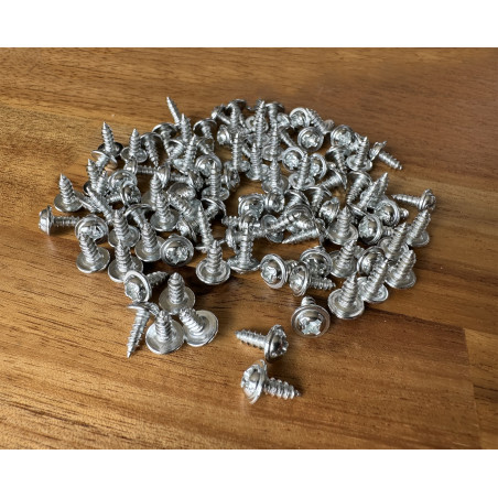 Set of 100 small screws (3.0x10 mm, silver color)