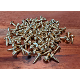 Set of 100 small screws (3.0x8 mm, gold color)