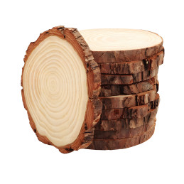 Wooden tree disc with bark (8-9 cm diameter, 1 cm thickness)