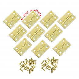 Set of 30 pieces small brass hinges (30x18 mm)